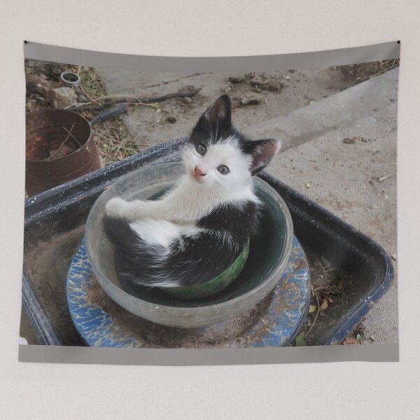Item preview, kitten in a bowl designed and sold by Stephanie  Skeem.