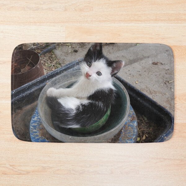 Item preview, kitten in a bowl designed and sold by Stephanie  Skeem.