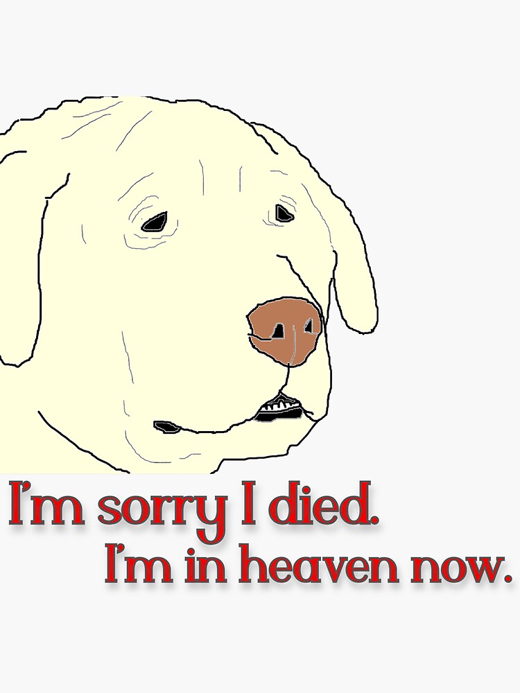 "Dog In Heaven Nathan For You Inspired" Sticker for Sale by