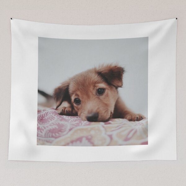 Item preview, Adorable Puppy designed and sold by leea1l.