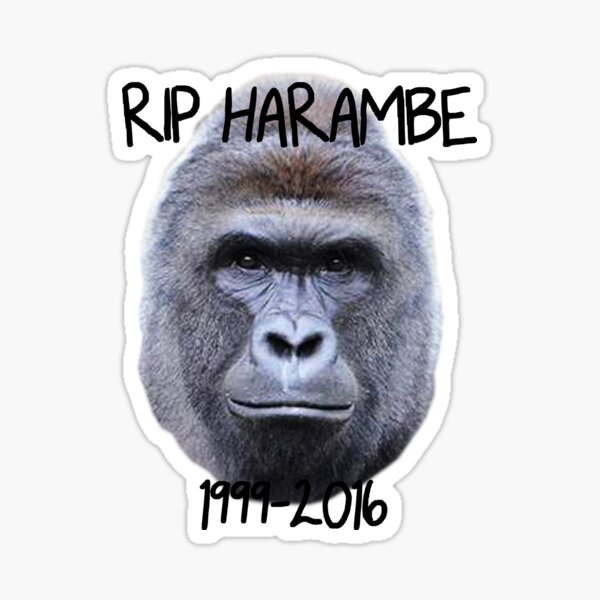 Funny Gorilla Stickers Redbubble - harambe memorial roblox