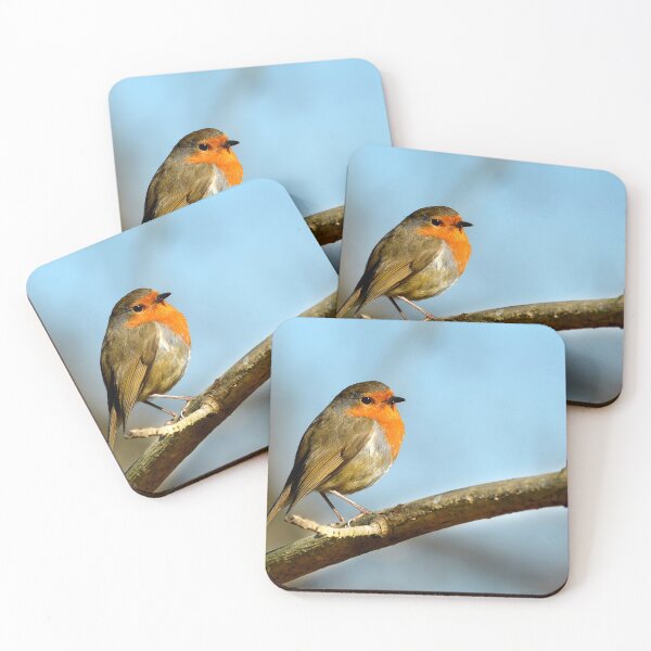 Item preview, The Robin Redbreast designed and sold by Anthony Hedger Photography.