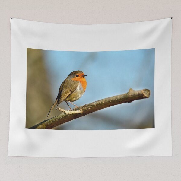 Item preview, El Robin Redbreast designed and sold by Anthony Hedger Photography.