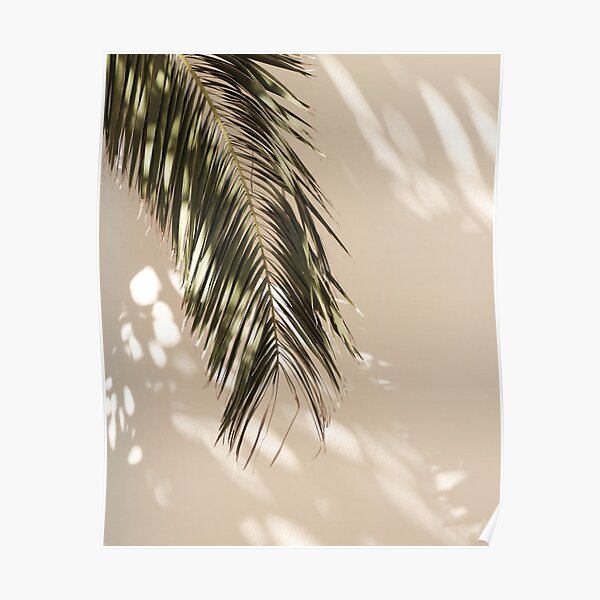 tropical palm leaves vi Poster