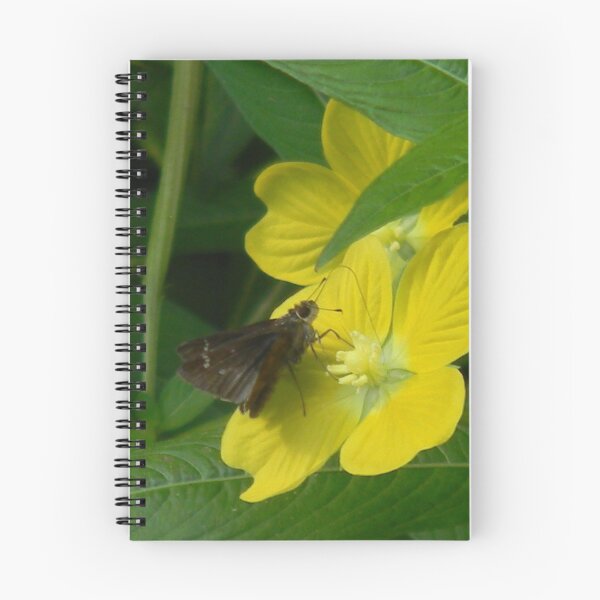 Item preview, Little Moth and Narrow Leaf Water Willow designed and sold by Navigator.