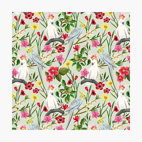 Parakeet & Cockatoo Garden Pattern Photographic Print