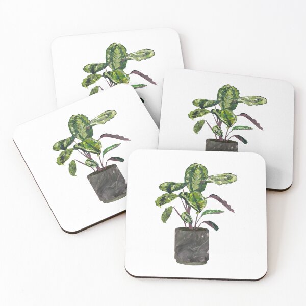 Item preview, Calathea (prayer plant) designed and sold by BabbanGaelg.