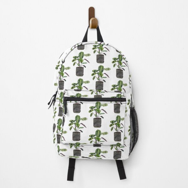 Item preview, Calathea (planta de oración) designed and sold by BabbanGaelg.