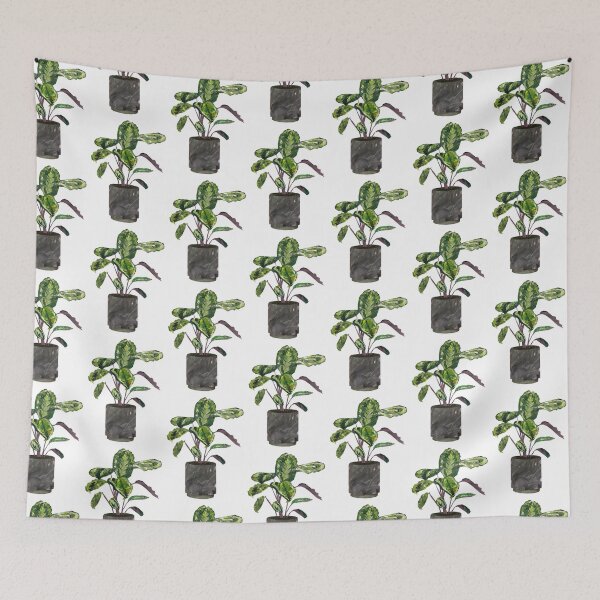 Item preview, Calathea (prayer plant) designed and sold by BabbanGaelg.