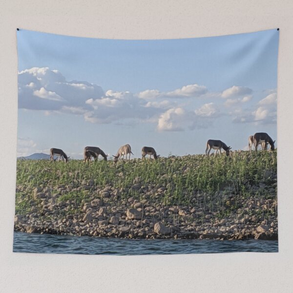 Item preview, Donkeys grazing  designed and sold by  CannaGranny™ .