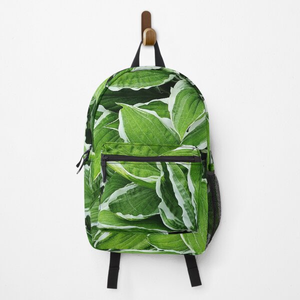 Item preview, Decorative Green and White Leaves designed and sold by ckylin.