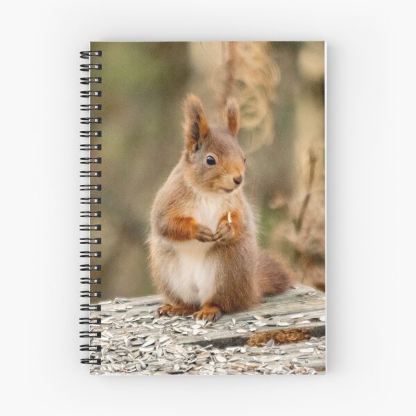 Item preview, Squirrel feeding - Animal designed and sold by RolandWidin.