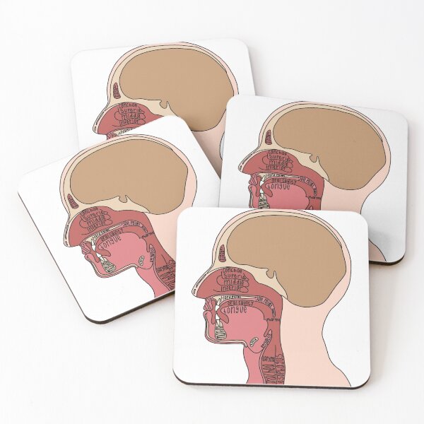 Item preview, Labeled Head Anatomy designed and sold by Katherine Winner.