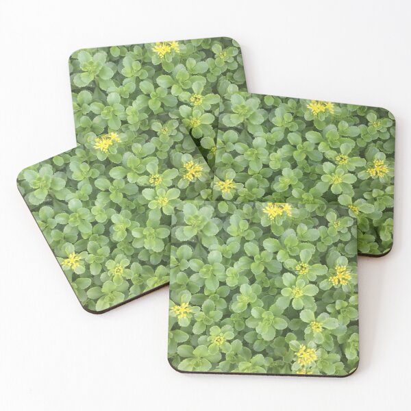 Item preview, Sedum in June designed and sold by Sarah Aubry.
