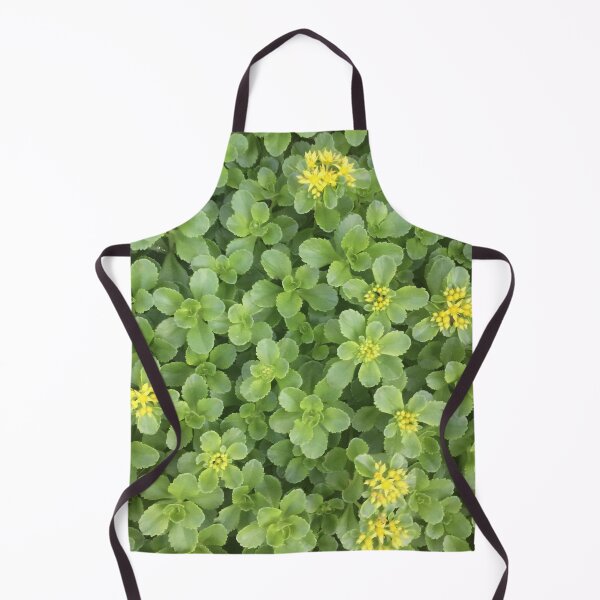 Item preview, Sedum in June designed and sold by Sarah Aubry.