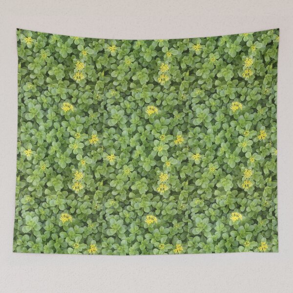 Item preview, Sedum in June designed and sold by Sarah Aubry.