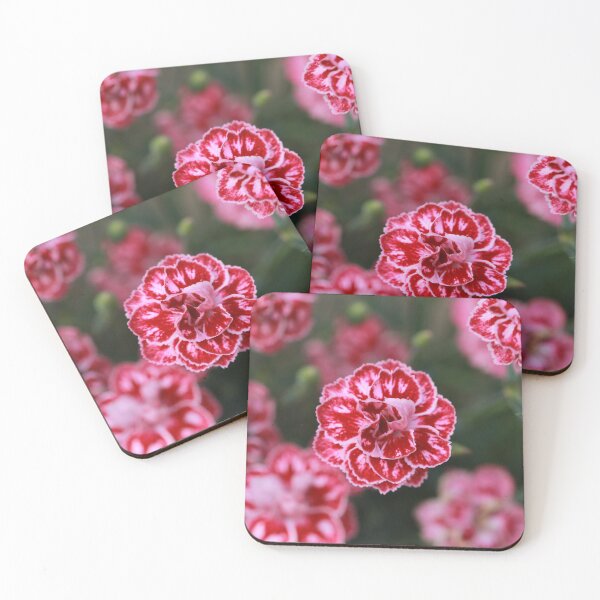 Item preview, Pink and White Carnations designed and sold by StampCity.