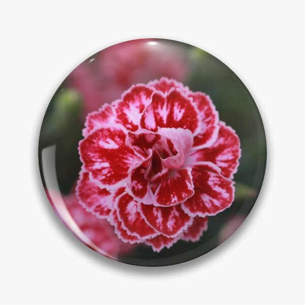 Item preview, Pink and White Carnations designed and sold by StampCity.