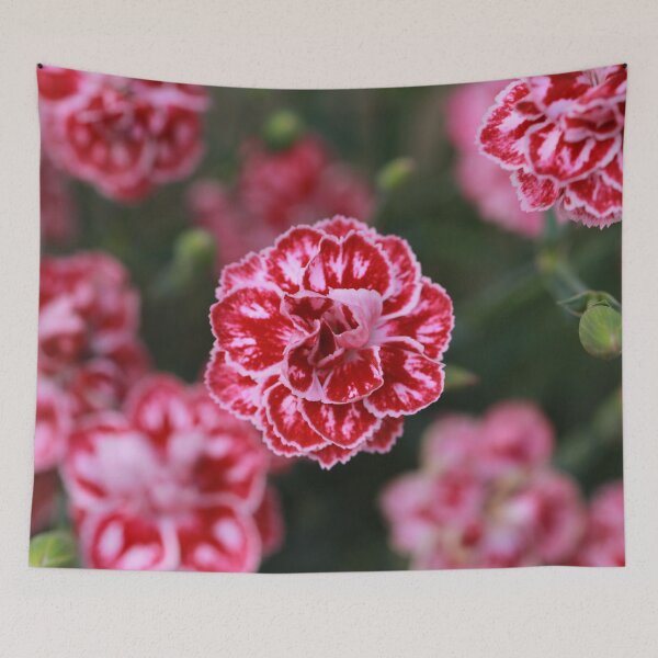 Item preview, Pink and White Carnations designed and sold by StampCity.