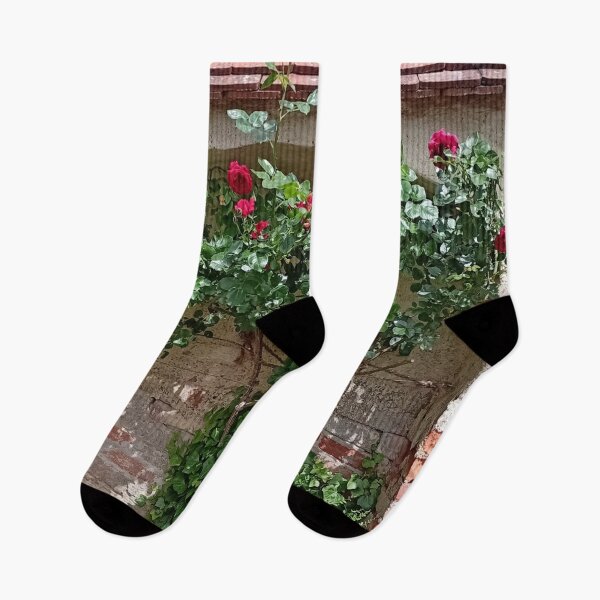 Item preview, Red roses designed and sold by vibeno1.