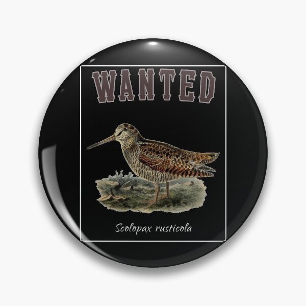Item preview, OBV - Wanted Scolopax rusticola designed and sold by vb66.