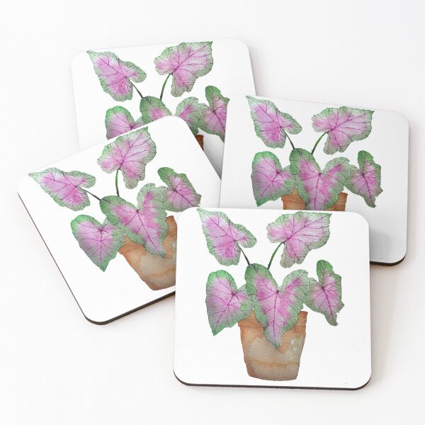 Item preview, Caladium in terracotta Pot designed and sold by Zainiamin.