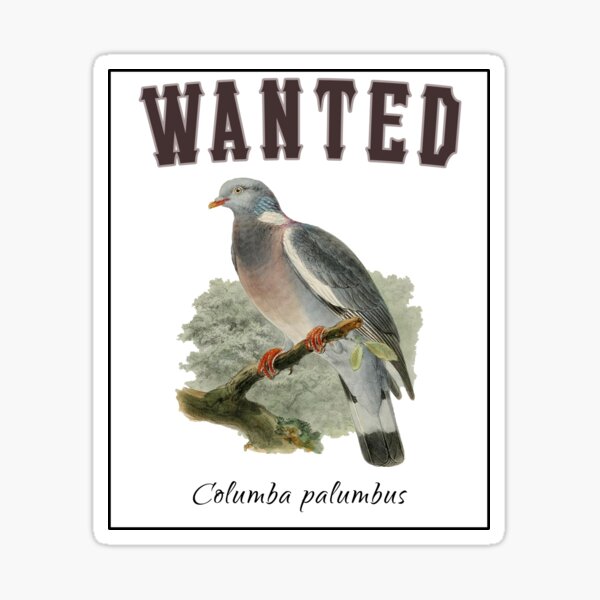 OBV - Wanted Columba palumbus Sticker