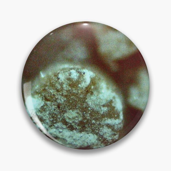Item preview, Crinoid Ossicle designed and sold by Pr0teusUnbound.