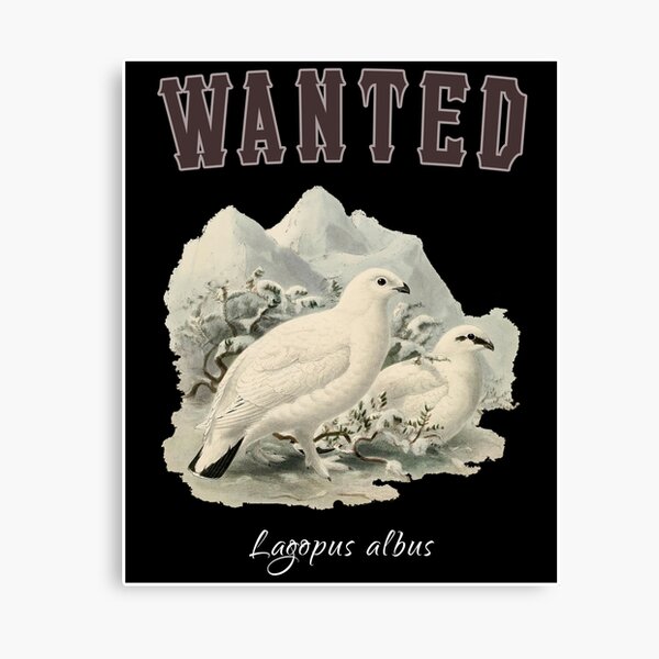 Item preview, OBV - Wanted Lagopus albus designed and sold by vb66.