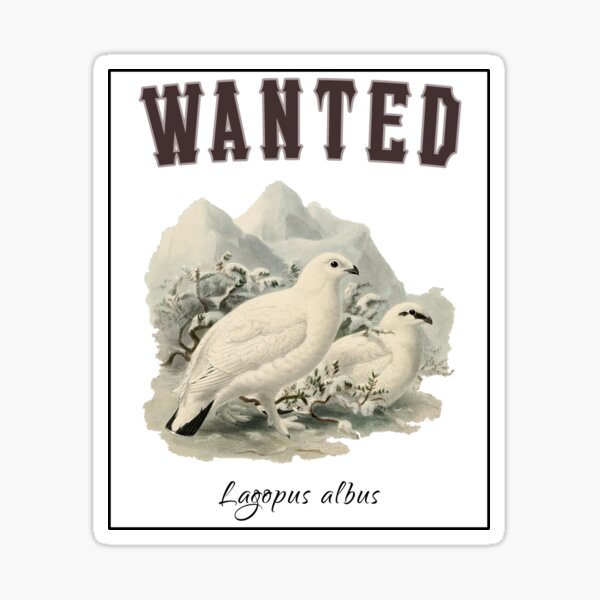 Item preview, OBV - Wanted Lagopus albus designed and sold by vb66.