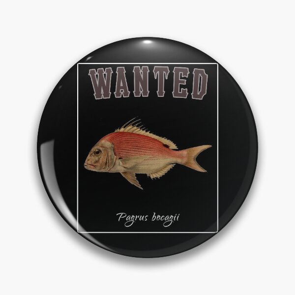 Aperçu de l'œuvre OBV - Wanted Pagrus bocagii créée et vendue par vb66.