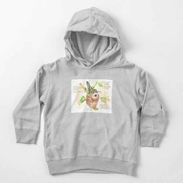 Phoebe, the Allen's Hummingbird - Botanical Illustration Toddler Pullover Hoodie