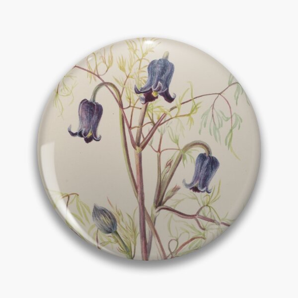 Item preview, Leather Flower (Clematis HIrsutissima) designed and sold by Fiona-Lynn Designs.