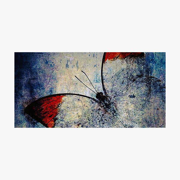 Item preview,    Tapestries,Tapestry,throw blankets,comforters,duvet covers ,shower curtains,butterfly, butterfly print, butterfly art,comforters,duvet covers , floral design, flower, flowers designed and sold by eyesight4vision.