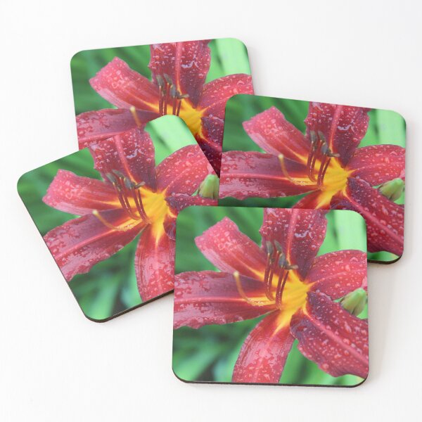 Item preview, rainy daylilly designed and sold by ELMbytheriver.