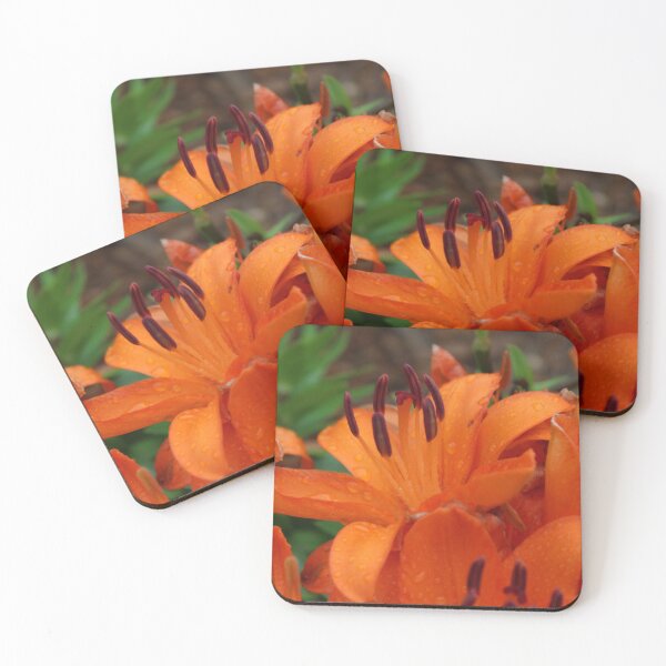 Item preview, orange lily designed and sold by ELMbytheriver.