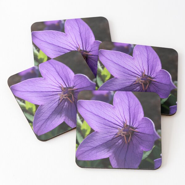 Item preview, balloon flower designed and sold by ELMbytheriver.