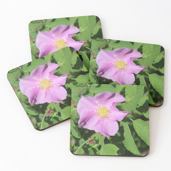 Item preview, wild rose designed and sold by ELMbytheriver.