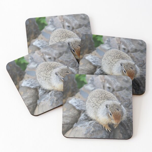 Item preview, ground squirrel designed and sold by ELMbytheriver.