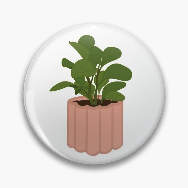 Item preview, peperomia obtusifolia designed and sold by Kbooguy.