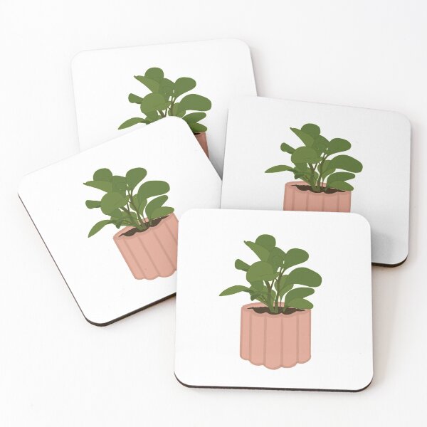Item preview, peperomia obtusifolia designed and sold by Kbooguy.