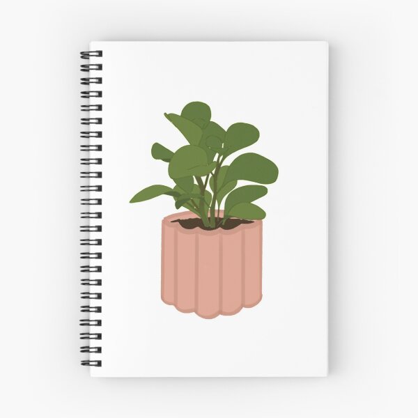 Item preview, peperomia obtusifolia designed and sold by Kbooguy.