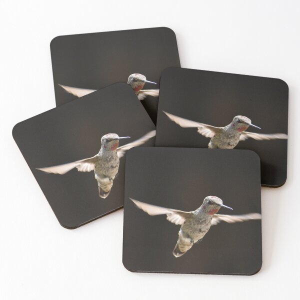 Item preview, Juvenile Anna's Hummingbird  designed and sold by birdswhatnot.