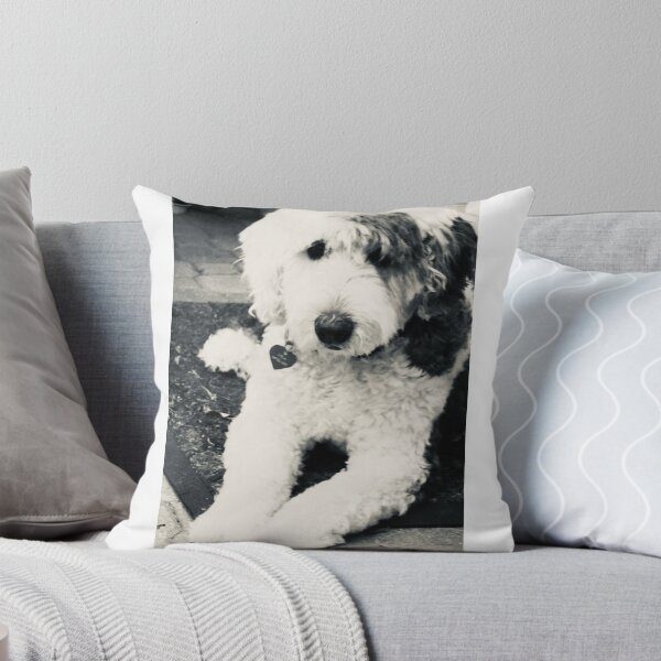 Item preview, Lolers  designed and sold by cherylream.