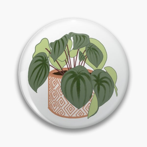 Item preview, watermelon peperomia designed and sold by Kbooguy.