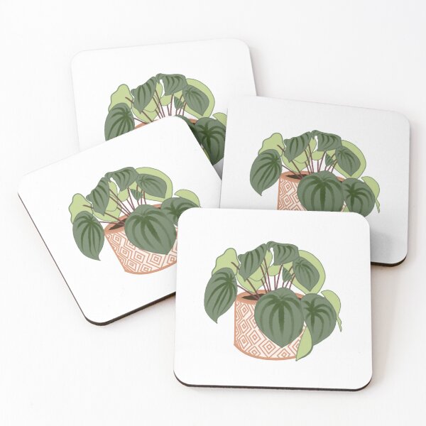 Item preview, watermelon peperomia designed and sold by Kbooguy.