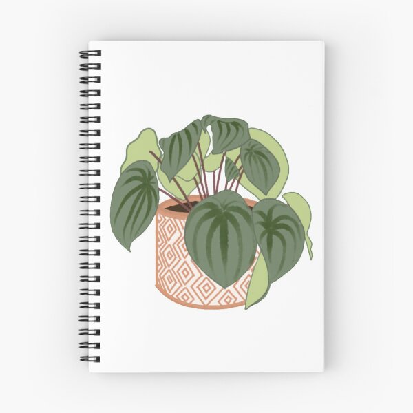 Item preview, watermelon peperomia designed and sold by Kbooguy.