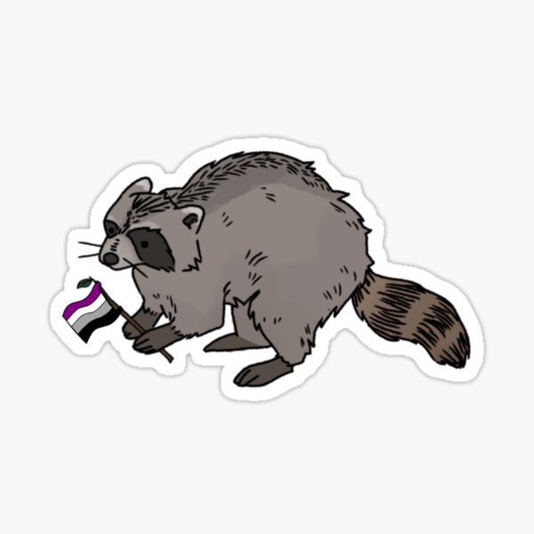 Asexual Raccoon Sticker By Adxastra Redbubble 0045