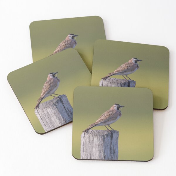 Item preview, Horned Lark Perched On A Wooden Post designed and sold by FreelanceJim.
