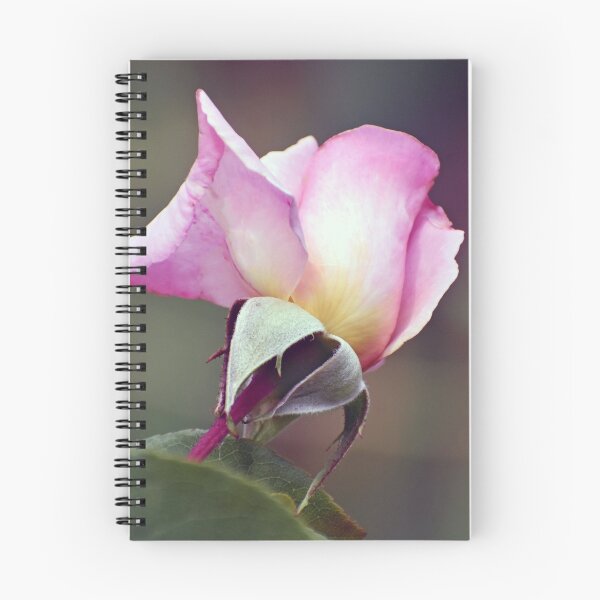 Item preview, Exquisite Exhibition designed and sold by ReneeKennedy.